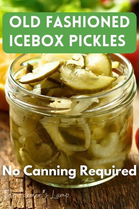 Easy, delicious Ice Box Pickles - No cooking required! Icebox Pickles Recipes For, Icebox Pickles Recipe, Ice Cream Pail Pickles, Ice Box Pickles, Fire And Ice Pickles Recipes, Ice Box Pickles Recipes, Easy Pickles Recipes, Fridge Pickles Easy, Pickles Canning Recipes