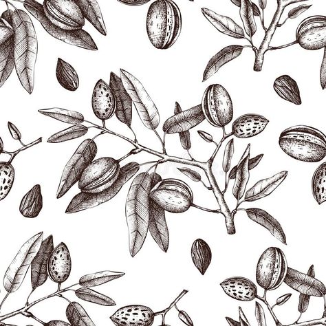 Vector Almond background. Hand drawn nut tree sketch. Botanical seamless pattern , #Ad, #drawn, #nut, #tree, #Hand, #Vector #ad Almond Illustration, Pine Tree Art, Tree Sketch, Chocolate Packaging Design, Forearm Tattoo Design, Tree Sketches, Plant Drawing, Natural Logo, Tree Illustration