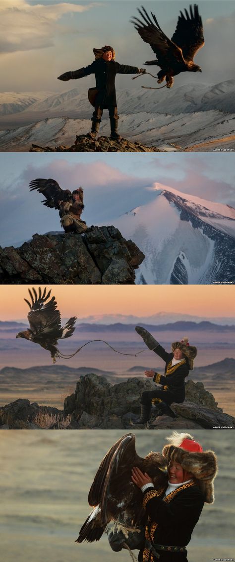 The Kazakhs of the Altai mountain range in western Mongolia are the only people that hunt with golden eagles, and today there are around 400 practising falconers. Ashol-Pan, the daughter of a particularly celebrated hunter, may well be the country's only apprentice huntress. Eagle Huntress, Robin Birds, Eagle Hunter, Altai Mountains, Golden Eagles, Clothing Reference, Winter Bird, Animal Totems, Foto Art