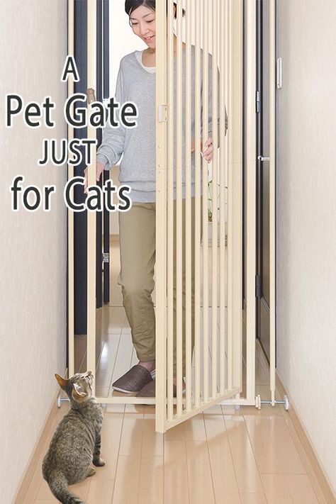 Cat Gates Indoor, Diy Cat Gates Indoor, Dog Gate Diy, Gate With Cat Door, Cat Door Diy, Indoor Gates, Tall Pet Gate, Diy Dog Gate, Diy Gate