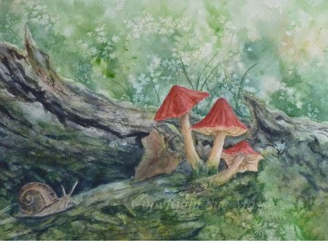 Mushroom Home, Porcini Mushroom, Forest Drawing, Mushroom Paint, Fairy Drawings, Forest And Wildlife, Woodland Art, Pressed Paper, Diy Watercolor Painting