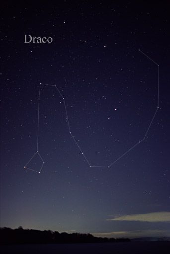 Draco constellation- Draco was a dragon, who during his attack on mt. Olympus, was thrown into the sky by the goddess Minerva. Constellation Draco, Draco Constellation, Astronomy Constellations, Constellation Tattoo, Constellation Tattoos, Star Constellations, Meteor Shower, Space Stars, The Night Sky