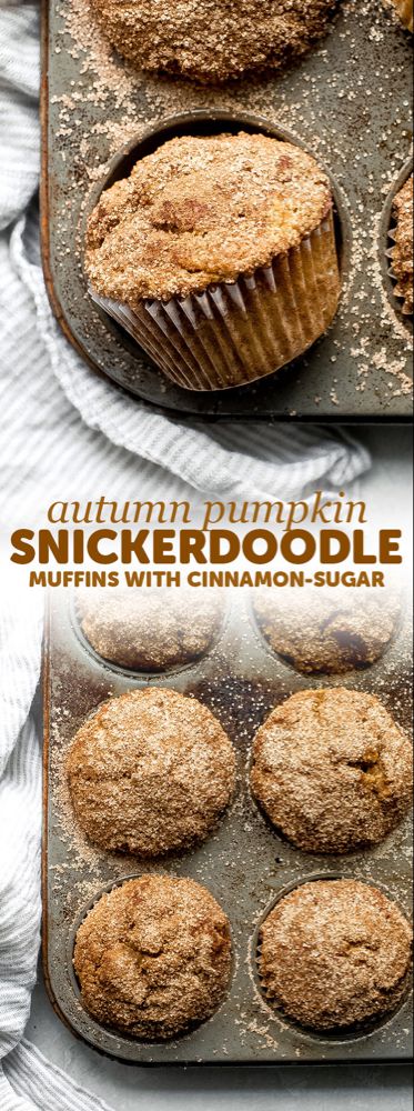 Snickerdoodle Muffins Recipe, Cookies Videos, Moist Pumpkin Muffins, Best Pumpkin Muffins, Snickerdoodle Muffins, Snickerdoodle Cookies Easy, Chilly Fall Morning, Recetas Salvadorenas, Cookies Pumpkin