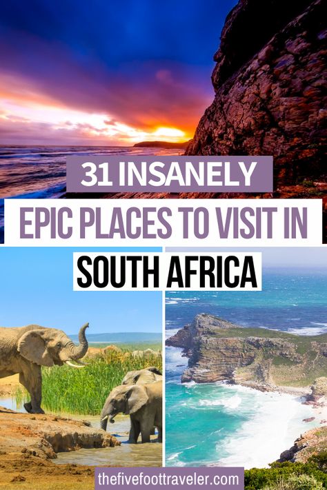 South Africa Trip, South Africa Bucket List, Travel South Africa, South Africa Itinerary, Africa Bucket List, South Africa Vacation, South Africa Travel Guide, Africa Holiday, Africa Itinerary