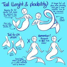 Mermaid Anatomy Reference, Mermaid Refrence Drawings, Siren Poses Reference, Mermaid Atonamy, Siren Tail Art, Drawing Base Mermaid, Siren Art Reference, Mermaid Tops Drawing, Mermaid Tail Drawing Reference