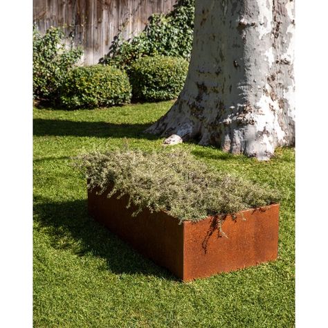 Veradek Corten Steel Series Garden Bed Planter & Reviews | Wayfair Planted Containers, Corten Steel Garden, Planter Box With Trellis, Cedar Raised Garden Beds, Raised Garden Planters, Metal Raised Garden Beds, Corten Steel Planters, Rustic Planters, Rectangular Planters