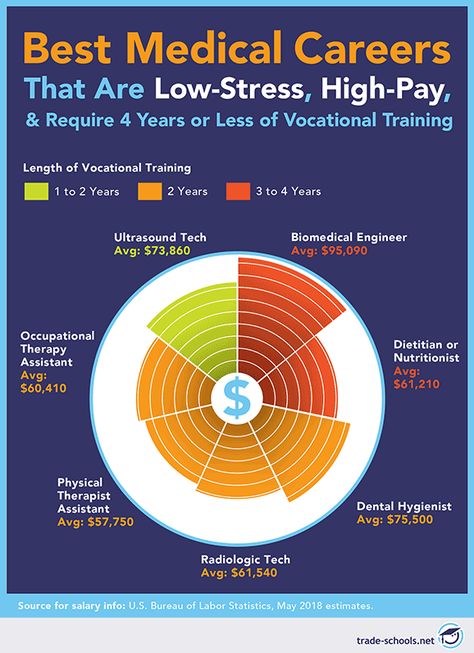 High-Paying Medical Jobs With Little Schooling: 7 Low-Stress Careers Health Care Careers, Trade Jobs, Diagnostic Medical Sonography, Physical Therapist Assistant, Physical Therapy Assistant, Healthcare Careers, Hospital Administration, Medical Jobs, Ultrasound Tech