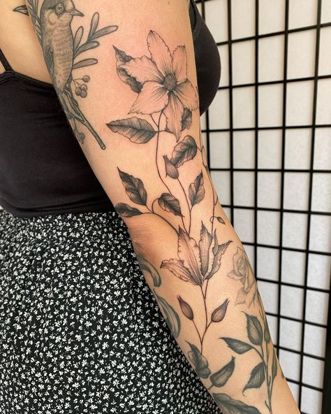 Meg Langdale on Instagram: “Creeping clematis for @daisykate - lots more to come! Working inbetween BEAUTIFUL healed pieces by @suflanda and @smick_tattooer 🖤…” Clematis Vine Tattoo, Creeping Vine Tattoo, Clematis Tattoo Ideas, Clematis Flower Tattoo, Clematis Tattoo, Wild Rose Tattoo, Left Arm Tattoos, Creeping Vines, Clematis Flower