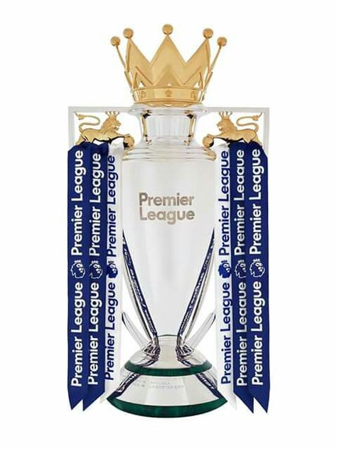 Liverpool Champions, Trophy Collection, Cup Tattoo, Football Trophies, World Cup Trophy, Sport Shirt Design, Champions Trophy, Trophy Design, West Brom