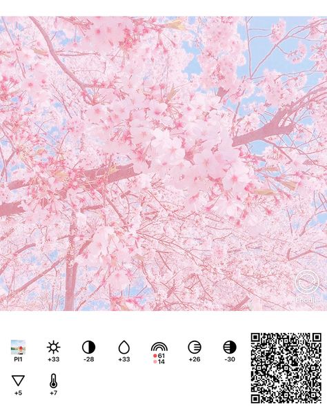 Pink Foodie Filter, Pink Dreams Filter, Pink Filter Aesthetic, Soft Pink Filter, Notion Library, Filter Foodie, Pink Film, Foodie Filter, Strawberry Crepes