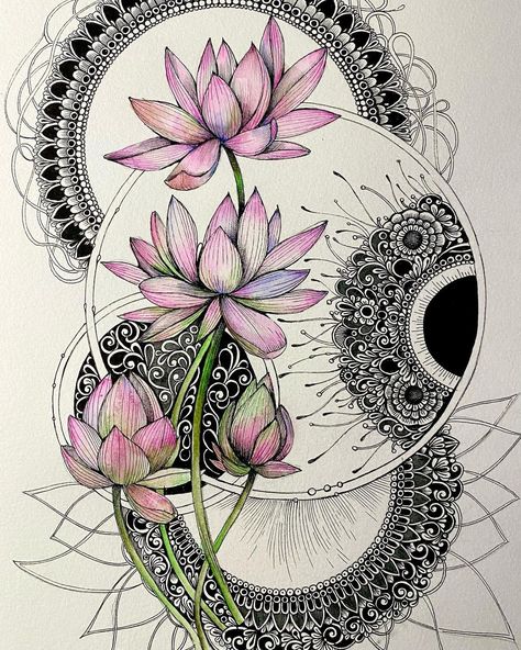 Cute Drawings Mandala, Mandala Art Flowers, Simple Aesthetic Drawing Ideas, Om Drawing, Art Designs Drawing, Mandala Drawing Colourful, Mandala Art Ideas Creative, Mandala Art Beautiful, Lotus Mandala Art