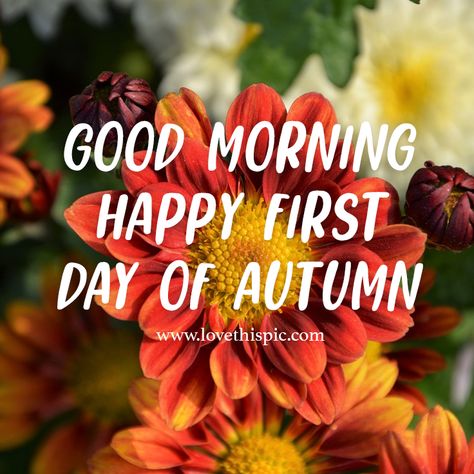 First Day Of Fall Quotes, Wednesday Pictures, Autumn Pictures, Good Morning Facebook, Happy First Day Of Fall, Fall Quote, Fall Humor, First Day Of Autumn, Good Morning My Friend