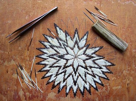 porcupine beauty | yea I don't know where I'm going to find quills so I'll just I'm just toothpicks. Quill Work Native American, Match Stick Art, Porcupine Quill Jewelry, Forest Dweller, American Indian Crafts, Quill Work, Native American Beadwork Patterns, Porcupine Quills, Quilled Creations