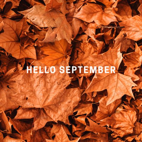 New month, new beginnings, new home! Turn your dreams into goals. Action them into reality! Remember, If at first, you don’t succeed, call me! I would love to talk to you about how we can make those real estate dreams come true. Wishing you an amazing month of September 🍂😉 Prosperity Real Estate Professionals 📞 (732) 301 4141 📩 Luisa@prosperityrep.com 💻 www.prosperityrep.com #MondayMotivation #MonSlay #ThursdayThoughts #GoalSlayer #GirlBoss #WorkItWednesday #FeelGoodFriday #CEOmindset September Real Estate, Feel Good Friday, Month Of September, Hello September, Real Estate Humor, New Month, Dreams Come True, Real Estate Professionals, Talking To You