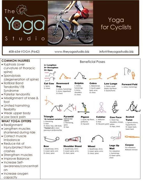 Yoga for Cyclists. Exercises For Cyclists, Stretches For Cyclists, Cycling Stretches, Yoga For Cyclists, Cycle Training, Travel Humor Quotes, Cycling Motivation, Cycling Tips, Yoga Sequence