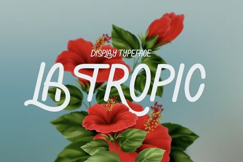 La Tropic Tropical Typeface, Fonts - Envato Elements Tropical Font, Be The Main Character, Summer Font, Latest Fonts, Latin Language, Display Typeface, Fancy Fonts, Modern Flat, Creative Fonts