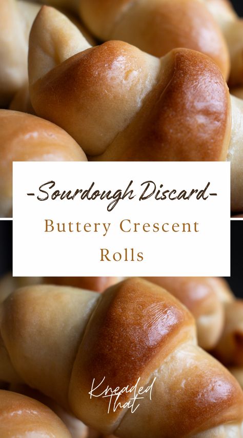 Sourdough Dinner Rolls, Easy Crescent Rolls, Homemade Crescent Rolls, Recipe Using Sourdough Starter, Bakers Yeast, Sourdough Rolls, Sourdough Bread Starter, Sourdough Starter Discard Recipe, Gluten Free Sourdough