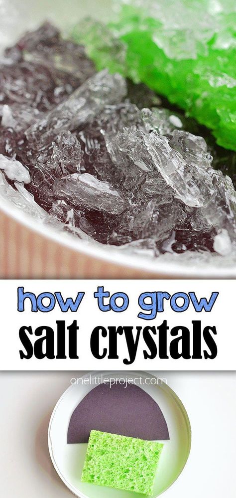 Crystal Making For Kids, Sugar Crystal Science Project, Borax Crystals Diy, Epsom Salt Crystals, Kids Science Fair Projects, Alum Crystals, Grow Crystals, Crystals For Kids, Epsom Salt Benefits