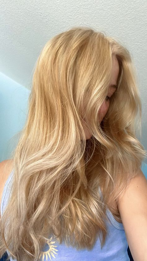 Long Golden Blonde Hair With Layers, Golden Blonde Beach Hair, Strawberry Blonde With Blue Eyes, Light Natural Blonde Hair Color, Strawberry Blonde With White Highlights, Golden Sandy Blonde Hair, Light Ginger And Blonde Hair, Golden Hour Blonde Hair, Strawberry Blonde Hair On Pale Skin