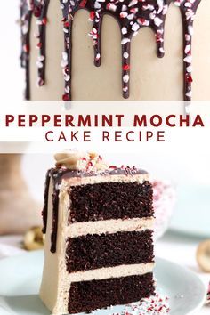 Peppermint Birthday Cake, Peppermint Mocha Dessert, Chocolate Peppermint Cake Recipe, Chocolate Candy Cane Cake, Peppermint Mocha Cake Recipe, Peppermint Hot Chocolate Cake, Cake Flavor Recipes, Christmas Dessert Ideas Cake, Chocolate Peppermint Desserts