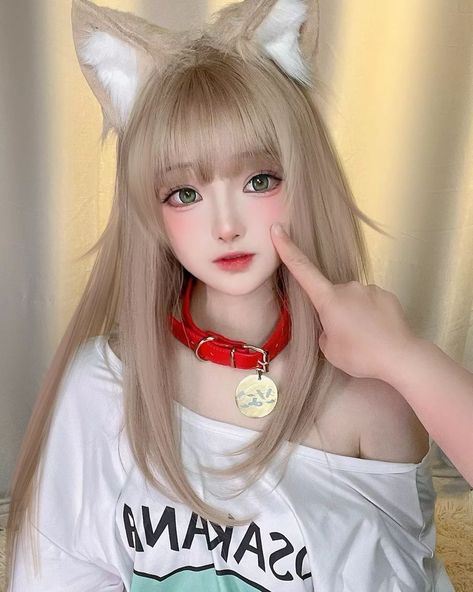 Cute Kawaii Outfits, Cat Cosplay, Cosplay Cute, Kawaii Cosplay, Amazing Cosplay, Cute Cosplay, 여자 패션, Cat Girl, Image Hd