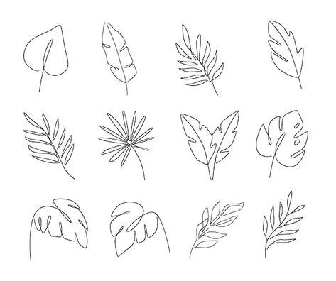 Tropical Leaves Line Art, Tropical Leaf Line Drawing, Tropical Leaves Doodle, Line Drawing Leaves Simple, Fine Line Palm Leaf Tattoo, Palm Leaf Drawing Simple, Line Art Plant Drawings, Tropical Leaf Line Art, Tropical Leaves Drawing Simple