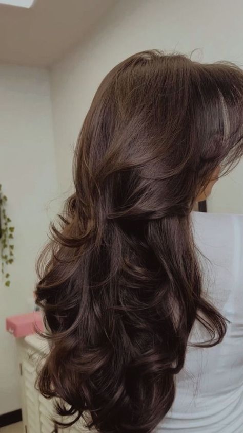 Brushing techniques.
#Haircuts_For_Long_Hair_With_Layers #Hair_Inspiration_Long #Brown_Hair_Inspo #Vlasové_Trendy Stepped Hair, Curled Ends Hair, Hair Ribbon Hairstyles, Big Wavy Curls, Painting Seashells, Easy Low Bun, Fine Thin Hair, Colourful Wall Art, Butterfly Face