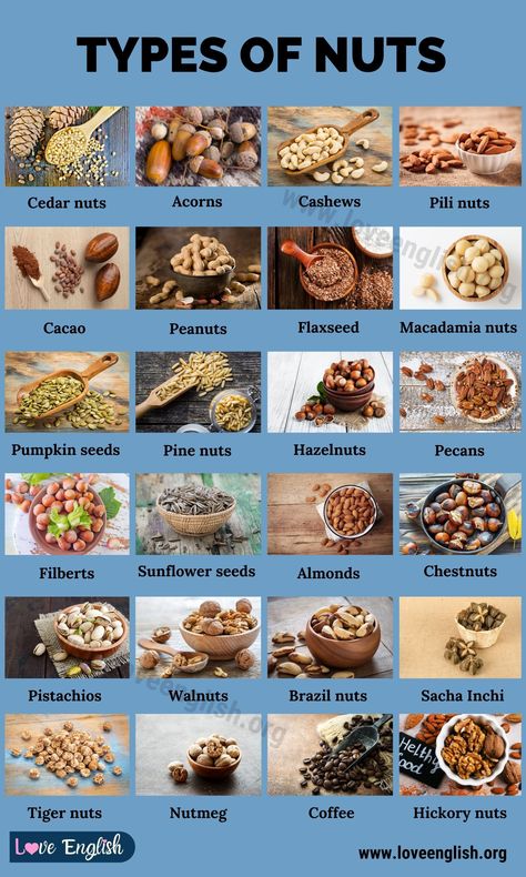 Types of Nuts Cave Hideout, Fruits And Vegetables List, Pili Nut, Food Infographic, Nut Recipes, Herbs For Health, Plant Based Nutrition, Roasted Salmon, Mixed Nuts