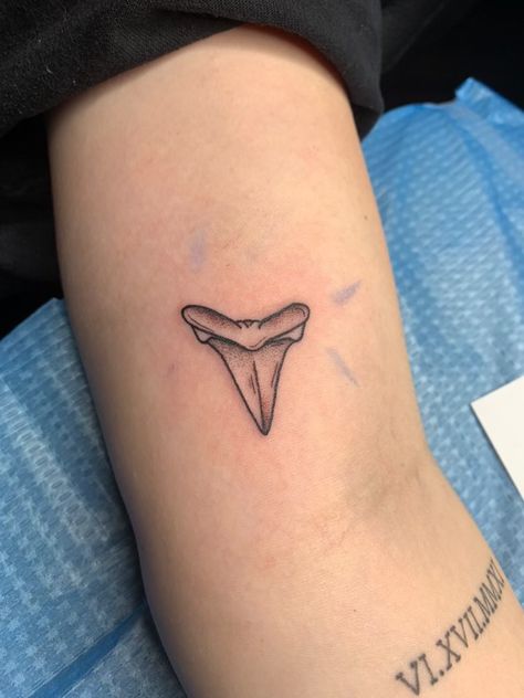 Shark Tattoo Fine Line, Tattoo Shark, Shark Tattoo Ideas, Shark Tooth Tattoo, Tooth Tattoo, Tattoo Hip, Shark Tattoo, Theme Tattoo, Shark Tattoos