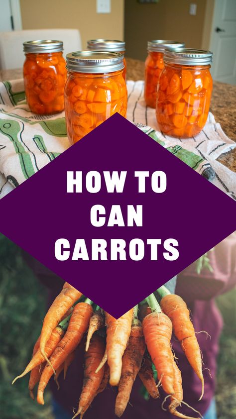 Learn the basics of canning carrots and enjoy fresh flavor all year round! Easy steps, tips, and recipe ideas inside. 🌿🥕 #CanningCarrots #PreserveYourHarvest Carrot Canning Recipes, Canning Carrots Water Bath, Canning Carrots Recipes, Preserving Carrots, Can Carrots, Canning Carrots, Canned Carrots, Easy Canning, Canning Vegetables