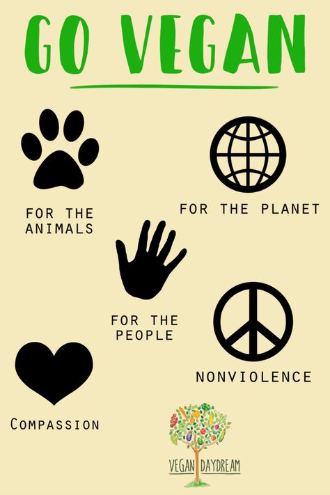 There are many reasons that people go vegan. Vegan for the animals, vegan for the planet, vegan for the people, or vegan for health. What ever the reason it makes the world a better place.  #vegan #govegan #plantbased Vegan Lifestyle Inspiration, Vegan For The Animals, Dairy Free Chocolate Cake, Vegan Bolognese, Vegan Coleslaw, Vegan Quotes, Vegan Inspiration, Vegan Pancakes, Go Vegan