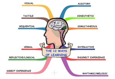 Learning Styles Activities, Reflective Learning, Multisensory Teaching, Multi Sensory Learning, Brain Based Learning, Sensory Learning, Teacher Material, Classroom Freebies, School Learning