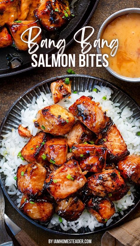 A plate filled with white rice and topped with bang bang salmon bites.  A second plate of bites rests in the corner, along with a small bowl filled with extra bang bang sauce. Bang Bang Salmon Bites, Bang Bang Salmon, Salmon Bites Recipe, Salmon Bites, Makeup Smokey, Salmon Dishes, Air Fryer Dinner Recipes, Fish Dinner, Air Fryer Recipes Easy