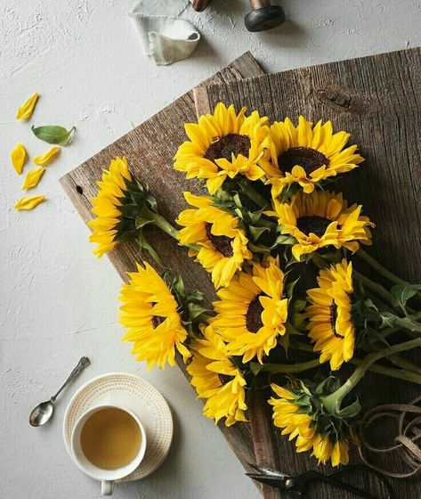 Tea Cup Photography, Cup Photography, Sunflower Iphone Wallpaper, Sunflower Photography, Coffee And Flowers, Yellow Tea, Tea And Books, Food Photography Tips, Coffee Pictures