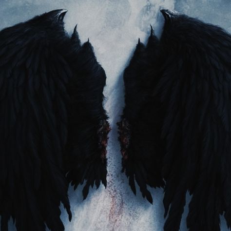 Demoncore Aesthetic, Crescent City Book, Demon Core, Fallen Angel Aesthetic, Demon Aesthetic, Devil Aesthetic, Demon Wings, Angel Demon, Black Angel Wings