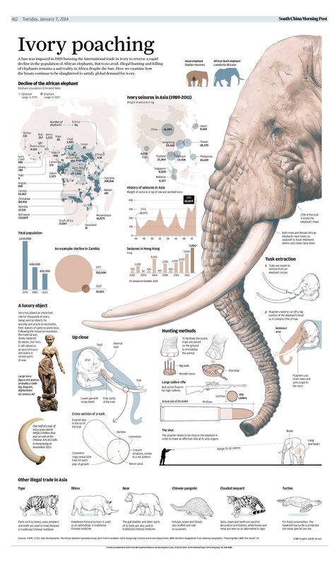 Animal Infographic, Posters Conception Graphique, Scientific Poster, Infographic Inspiration, Information Visualization, Data Visualization Design, Graphic Design Infographic, Infographic Poster, Infographic Illustration