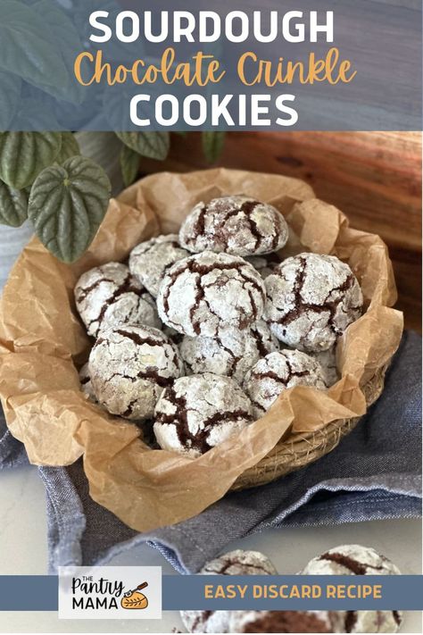 Delicious sourdough chocolate crinkle cookies made with sourdough discard or sourdough starter and cocoa powder. Sourdough Chocolate Crinkle Cookies, Sourdough Discard Brownies Cocoa Powder, Sourdough Crinkle Cookies, Sourdough Discard Chocolate Cookies, Sourdough Starter Cookies, Sourdough Cookies Recipe, Christmas Sourdough, Sourdough Discard Cookies, Sourdough Sweets