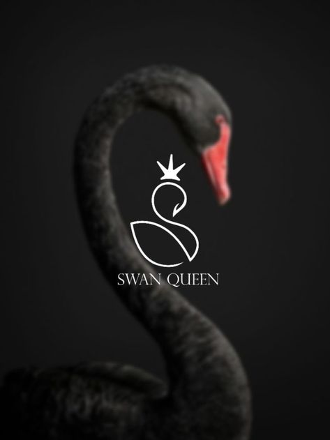 Swim Logo, Creative Logo Design Art, Me Logo, Swan Logo, Swan Queen, Logo Design Art, Beauty Center, Owl Design, Dragon Slayer