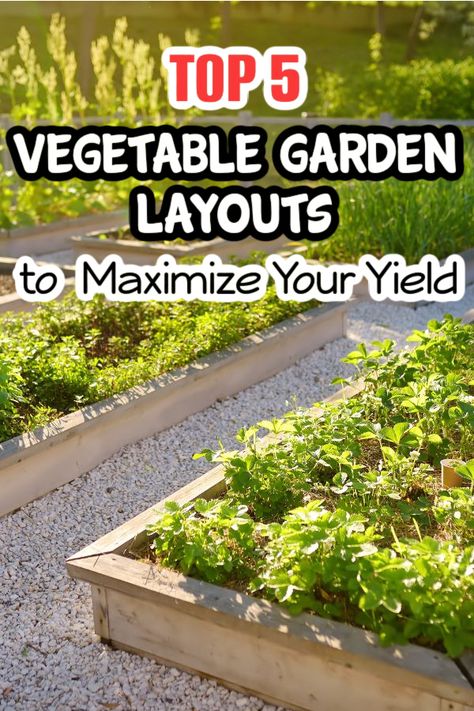 Learn how to optimize your garden space and increase your harvest. #GardeningTips #VegetableGarden

https://dianfarmer.com/the-top-5-vegetable-garden-layouts/
#gardensofinstagram #gardenlife #backyardgardening #lovegardening #containergardening #organicgardening #greenthumb #organicgarden #kitchengarden #vegetables #allotmentlife Spacing Vegetables In Garden, Veggie Garden Ideas Layout, Vegetable Raised Beds Layout, Container Gardening Layout, Minnesota Garden Vegetables, Vegetable Garden Layout Design Raised Beds Small Spaces, How To Maximize Garden Space, Summer Vegetable Garden Layout, Veg Garden Layout Raised Beds