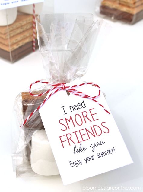 Cute End of the School Year Gift for Friends - I need Smore Friends like you! Free print on { lilluna.com } For Students, Classmates Gifts, More Friends, Cute Gifts For Friends, Gifts For, Year End, Class Gift, Summer Gifts, Great Birthday Gifts