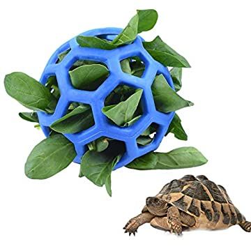 13 Best Toys For Turtles + Enrichment Activities (MY BOY LOVES #11) Tortoise Enrichment Toys, Sulcata Tortoise Enrichment, Toys For Tortoises, Diy Tortoise Habitat Indoor Easy, Small Tortoise Enclosure, Turtle Toys For Turtles, Tortoise Enrichment Ideas, Enrichment For Zoo Animals, Sulcata Tortoise Habitat Indoor