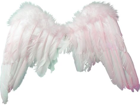 Angelic Aesthetic, Angelcore Aesthetic, Pngs For Moodboards, Pink Backgrounds, Wings Png, Pink Angel, Angel Aesthetic, Pink Accessories, Png Icons