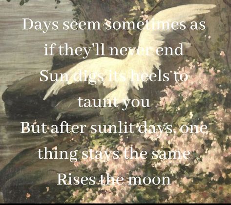 Rises The Moon Lyrics, Rises The Moon Song, Rises The Moon Aesthetic, Moon Ethereal, Poster Collage, Moon Song, Fairy Aesthetic, Song Lyric Quotes, Plant Decor Indoor