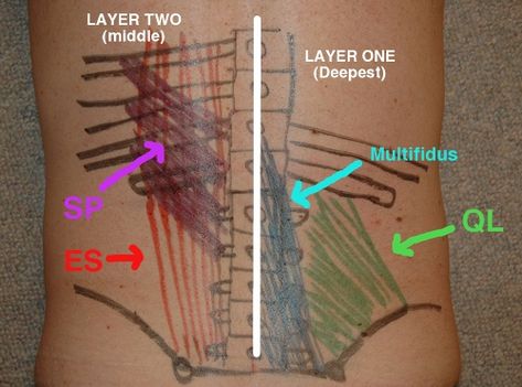 Self Back Massage, Ql Muscle, Athletes Training, Quadratus Lumborum, Trigger Point Massage, Musculoskeletal Pain, Muscle Massage, Body Map, Trigger Point