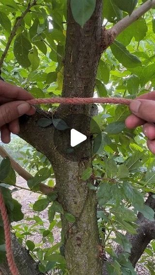 @technogadgets_360 on Instagram: "Farming techniques tools machine and gadgets . . . . . . #bigfarm #megafarmers #farminggadgets #innovation #innovativedesign #farminginspiration #farmingtools #farmingrevolution #tools #gadgets #farming" How To Tie Knots, Simpul Dasi, Supraviețuire Camping, Camping Knots, Survival Knots, Knots Guide, Farming Techniques, Knots Diy, Seni Dan Kraf