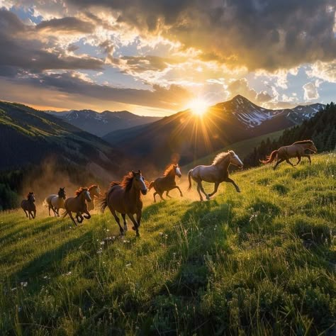 African Animals Photography, Wild Horses Mustangs, Wild Horses Running, Wild Animals Photography, Cai Sălbatici, Palomino Horse, Photo To Art, Horse Wallpaper, Cute Horses