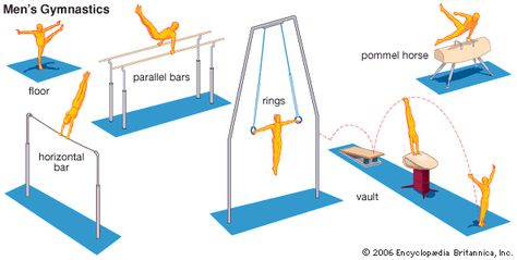 6 apparatus of men's gymnatics. Gymnastics Events, Gymnastics Floor, Floor Exercise, Bar Flooring, Male Gymnast, Dining Etiquette, Gymnastics Poses, Artistic Gymnastics, Floor Workouts