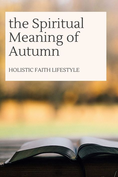 Seasons Spiritual Meaning, September Devotional, Fall Devotionals For Women, Spiritual Seasons, Teacher Devotions, Christian Autumn, Thanksgiving Devotions, Spiritual Peace, Spiritual Stories