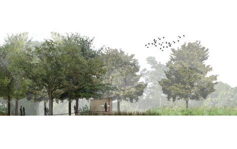 Spackman Mossop and Michaels - Couturie Forest Strategic Plan, 2008 Section Render, Tree Elevation, Tree Render, Forest Architecture, Architecture Trees, Trees Architecture, Tree Architecture, Section Plan, Architectural Background