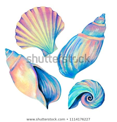 set of seashells - conch, fan shell, and cockle-shell. Amazing iridescent colors, detailed hyper - realistic illustration, blue opalescent glow. Mother of pearl shells. Seashell Drawing Realistic, Seashell Illustration Drawing, Conch Shell Drawing, Sea Shells Ideas, Sea Shell Drawing, Seashells Painting, Pearl Illustration, Sea Shell Illustration, Shells Drawing